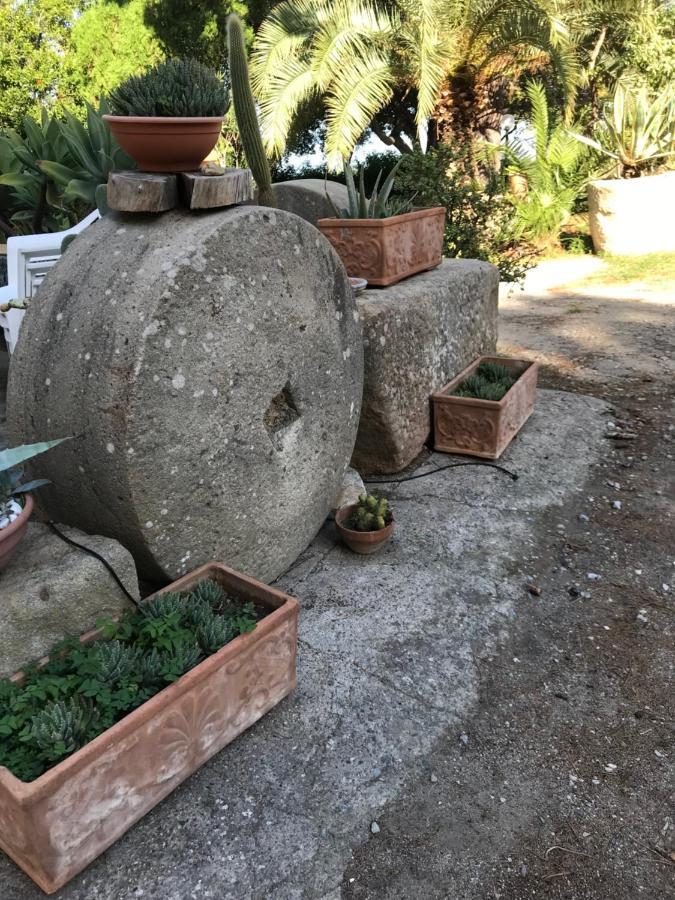 A Casa Di Peppino Villa Greco ตินดารี ภายนอก รูปภาพ