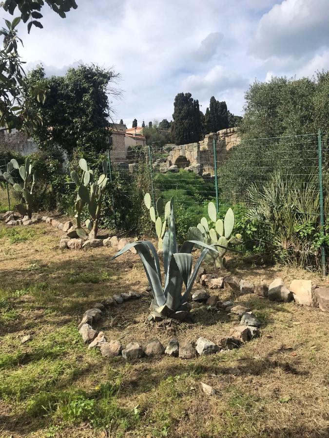 A Casa Di Peppino Villa Greco ตินดารี ภายนอก รูปภาพ