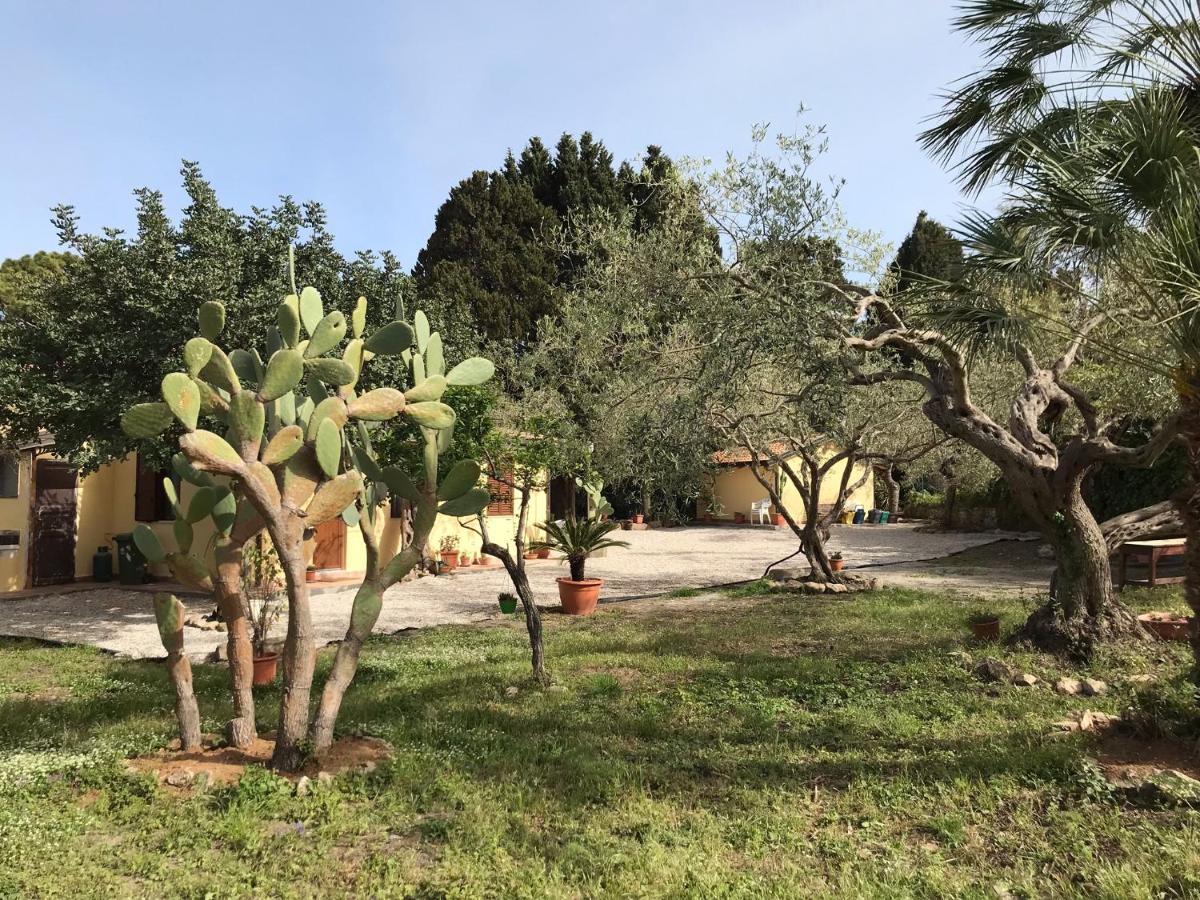 A Casa Di Peppino Villa Greco ตินดารี ภายนอก รูปภาพ
