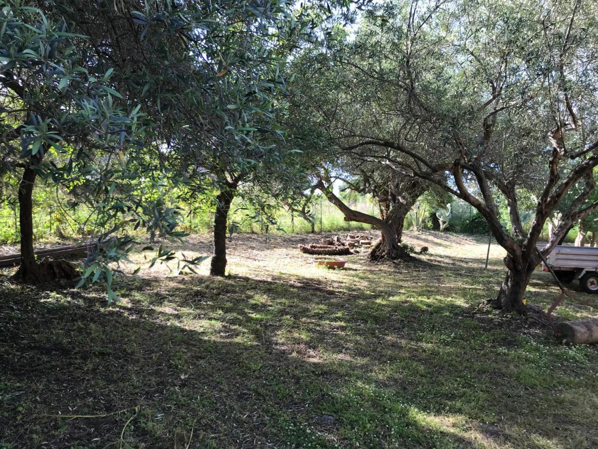 A Casa Di Peppino Villa Greco ตินดารี ภายนอก รูปภาพ