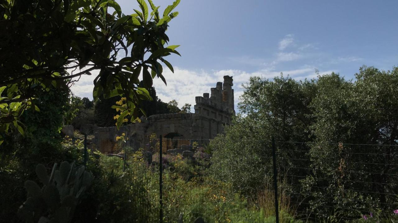 A Casa Di Peppino Villa Greco ตินดารี ภายนอก รูปภาพ