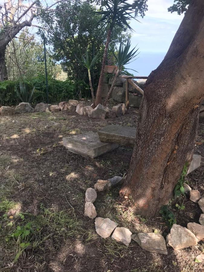 A Casa Di Peppino Villa Greco ตินดารี ภายนอก รูปภาพ