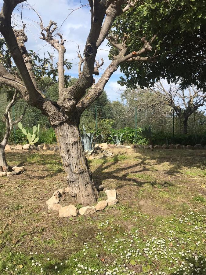 A Casa Di Peppino Villa Greco ตินดารี ภายนอก รูปภาพ