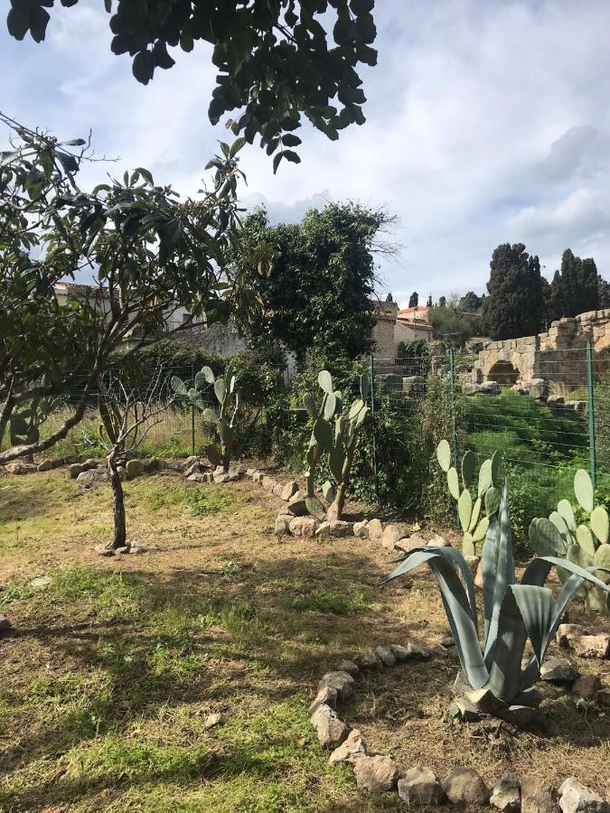 A Casa Di Peppino Villa Greco ตินดารี ภายนอก รูปภาพ