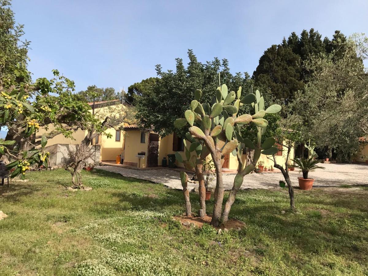 A Casa Di Peppino Villa Greco ตินดารี ภายนอก รูปภาพ