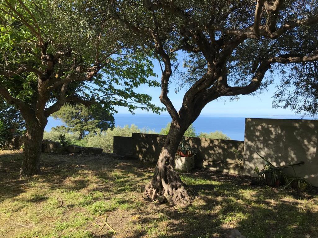 A Casa Di Peppino Villa Greco ตินดารี ภายนอก รูปภาพ
