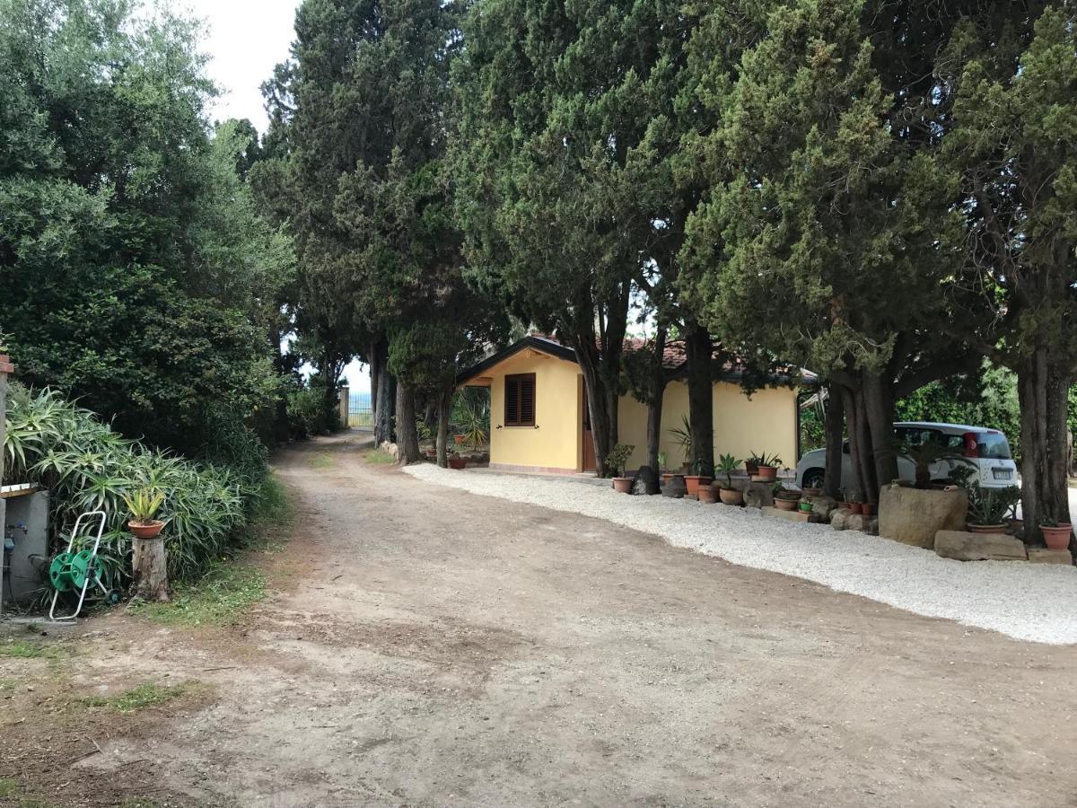 A Casa Di Peppino Villa Greco ตินดารี ภายนอก รูปภาพ