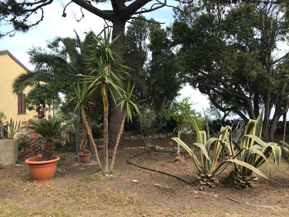 A Casa Di Peppino Villa Greco ตินดารี ภายนอก รูปภาพ