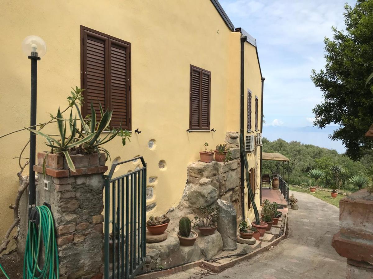 A Casa Di Peppino Villa Greco ตินดารี ภายนอก รูปภาพ