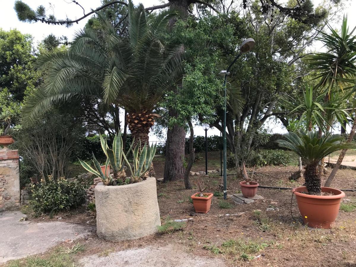 A Casa Di Peppino Villa Greco ตินดารี ภายนอก รูปภาพ