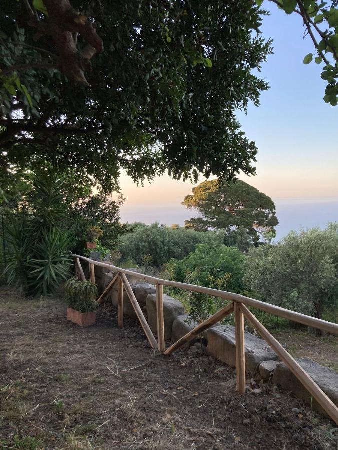A Casa Di Peppino Villa Greco ตินดารี ภายนอก รูปภาพ