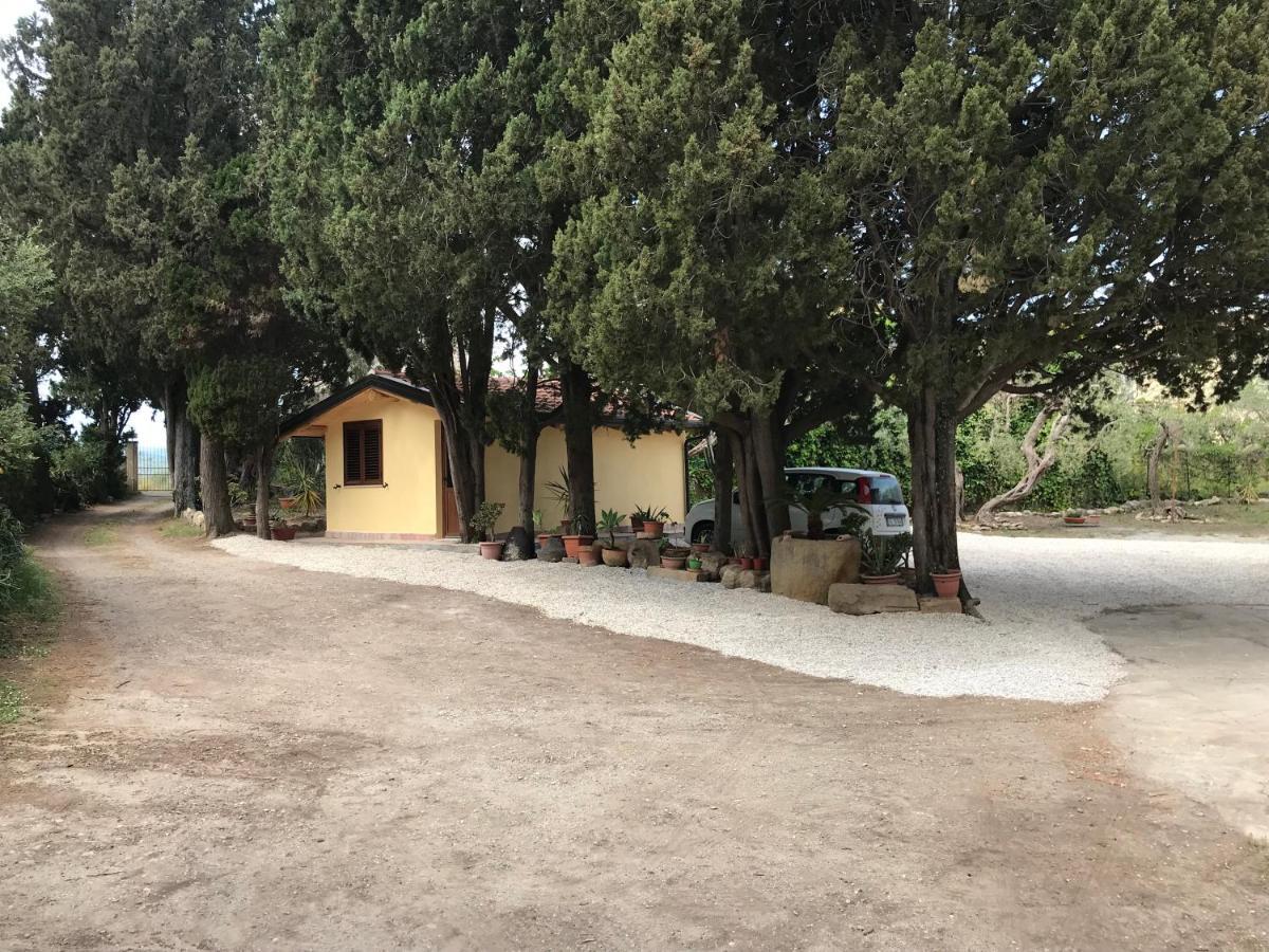 A Casa Di Peppino Villa Greco ตินดารี ภายนอก รูปภาพ